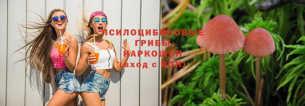 тгк Медвежьегорск