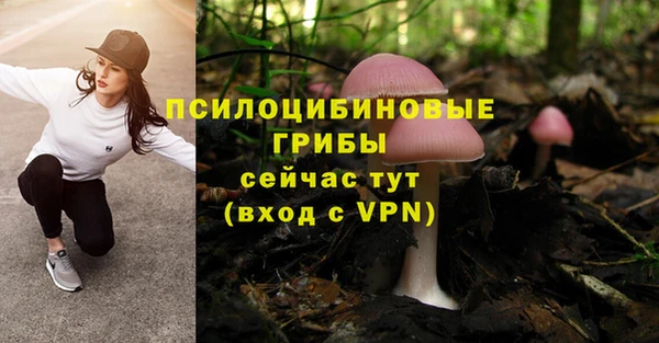 скорость Болотное